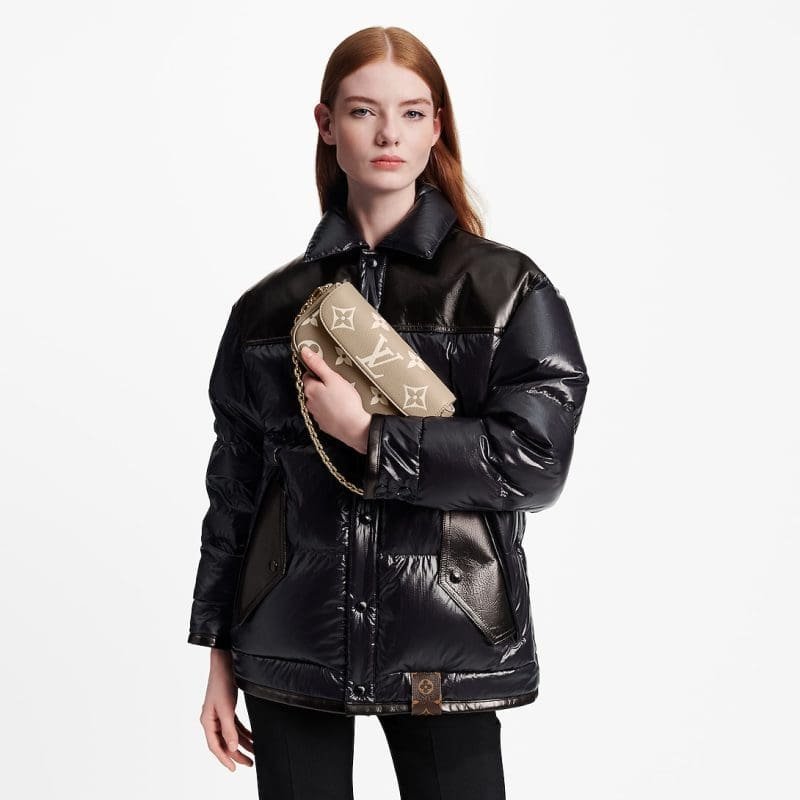 Louis Vuitton M82211 Wallet On Chain Ivy