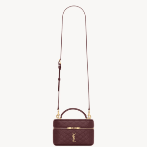 Saint Laurent gaby vanity bag in lambskin