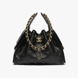CHANEL 25 Small Handbag