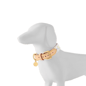 Louis Vuitton GI1316 LV x TM Monogram Multicolor Dog Collar PM
