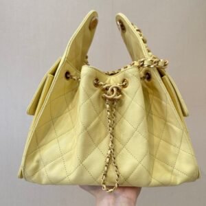 CHANEL 25 Small Handbag