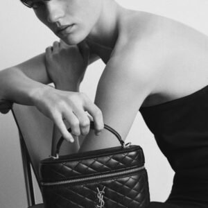 Saint Laurent GABY vanity bag in lambskin