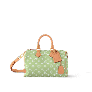 Louis Vuitton M14064 SPEEDY P9 BANDOULIÈRE 30 BAG